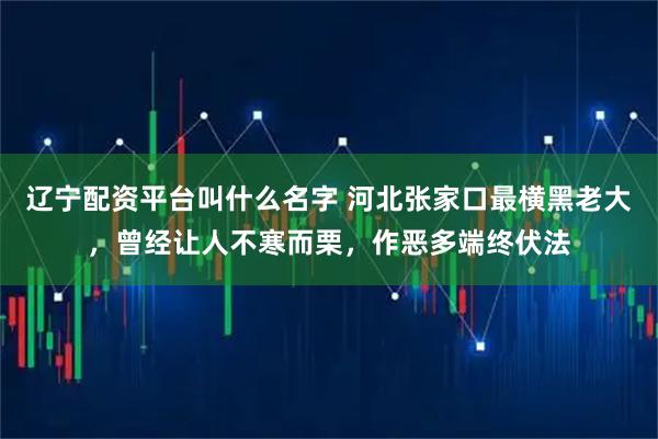 辽宁配资平台叫什么名字 河北张家口最横黑老大，曾经让人不寒而栗，作恶多端终伏法