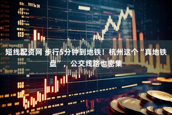 短线配资网 步行5分钟到地铁！杭州这个“真地铁盘”，公交线路也密集